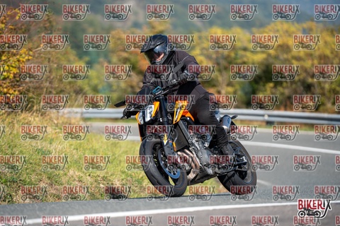 Passo della Futa E 11-10-25 h11-32 0196