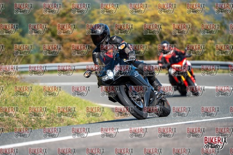 Passo della Futa E 11-10-25 h11-33 0204