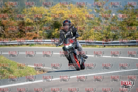 Passo della Futa E 11-10-25 h11-34 0227