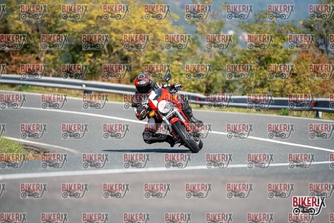 Passo della Futa E 11-10-25 h11-36 0231