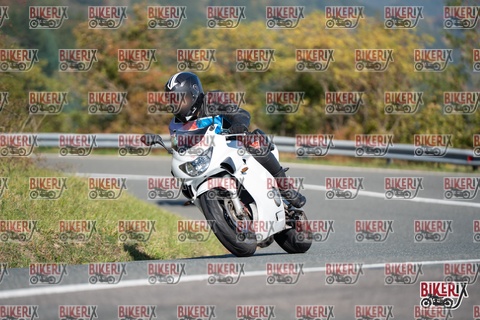 Passo della Futa E 11-10-25 h11-36 0237