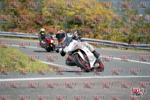 Passo della Futa E 11-10-25 h11-38 0244