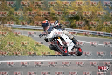 Passo della Futa E 11-10-25 h11-38 0245