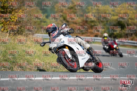 Passo della Futa E 11-10-25 h11-38 0246