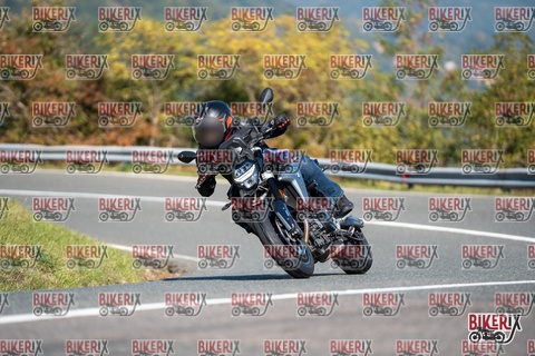 Passo della Futa E 11-10-25 h11-38 0283