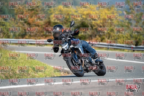 Passo della Futa E 11-10-25 h11-38 0284