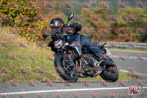 Passo della Futa E 11-10-25 h11-38 0286