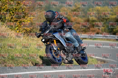 Passo della Futa E 11-10-25 h11-39 0292