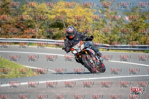 Passo della Futa E 11-10-25 h11-41 0327