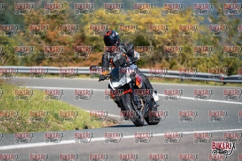 Passo della Futa E 11-10-25 h11-44 0378