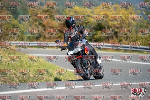 Passo della Futa E 11-10-25 h11-44 0379