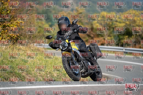 Passo della Futa E 11-10-25 h11-45 0382