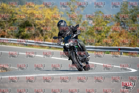 Passo della Futa E 11-10-25 h11-45 0388