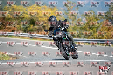 Passo della Futa E 11-10-25 h11-45 0389