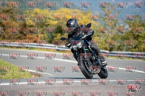 Passo della Futa E 11-10-25 h11-45 0390