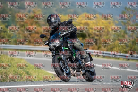 Passo della Futa E 11-10-25 h11-45 0392