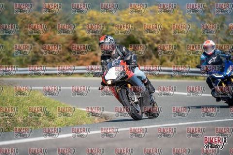 Passo della Futa E 11-10-25 h11-47 0433