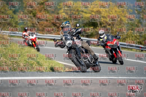 Passo della Futa E 11-10-25 h11-48 0450