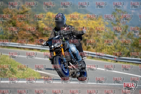 Passo della Futa E 11-10-25 h11-50 0472