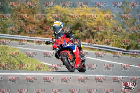 Passo della Futa E 11-10-25 h11-50 0474