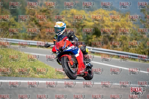 Passo della Futa E 11-10-25 h11-50 0475