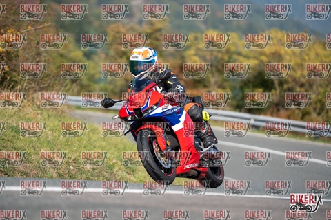 Passo della Futa E 11-10-25 h11-50 0476