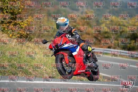 Passo della Futa E 11-10-25 h11-50 0477