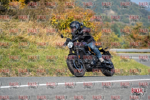 Passo della Futa E 11-10-25 h11-53 0491