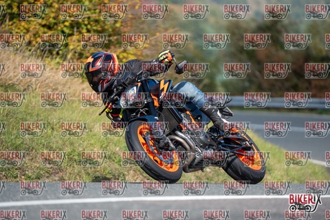 Passo della Futa E 11-10-25 h11-55 0521