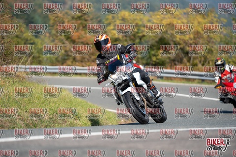 Passo della Futa E 11-10-25 h11-55 0524