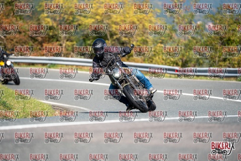 Passo della Futa E 11-10-25 h11-56 0536