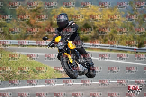 Passo della Futa E 11-10-25 h11-56 0552