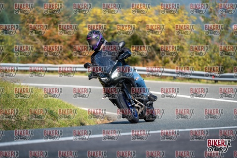 Passo della Futa E 11-10-25 h11-58 0564