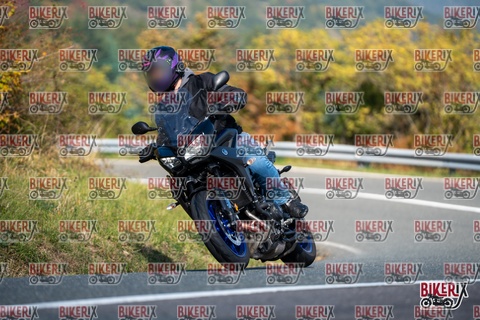 Passo della Futa E 11-10-25 h11-58 0566