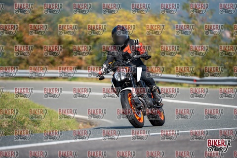 Passo della Futa E 11-10-25 h11-59 0569