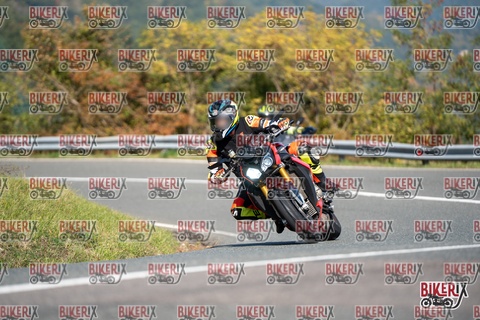 Passo della Futa E 11-10-25 h12-02 0572