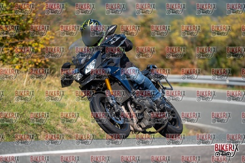 Passo della Futa E 11-10-25 h12-02 0574