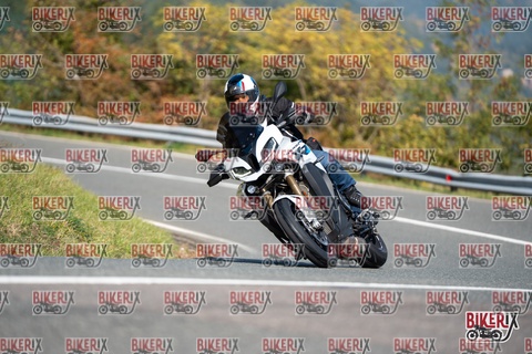 Passo della Futa E 11-10-25 h12-04 0578