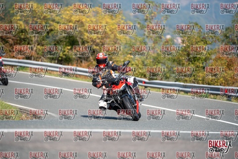 Passo della Futa E 11-10-25 h12-04 0582