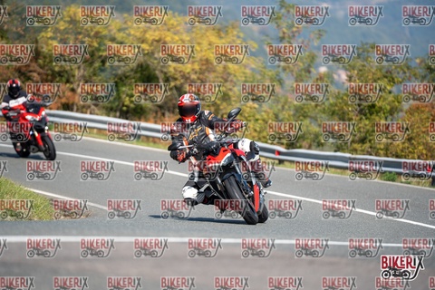 Passo della Futa E 11-10-25 h12-04 0583