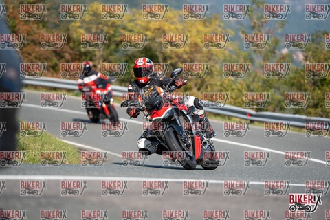 Passo della Futa E 11-10-25 h12-04 0585