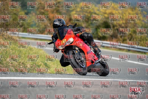 Passo della Futa E 11-10-25 h12-05 0618