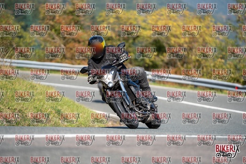 Passo della Futa E 11-10-25 h12-05 0625