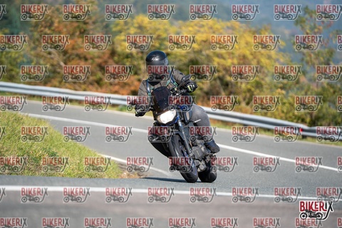 Passo della Futa E 11-10-25 h12-05 0627