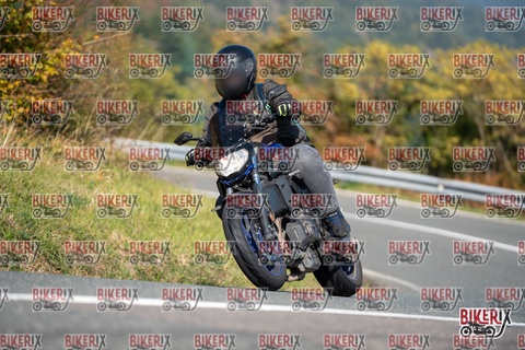 Passo della Futa E 11-10-25 h12-05 0630