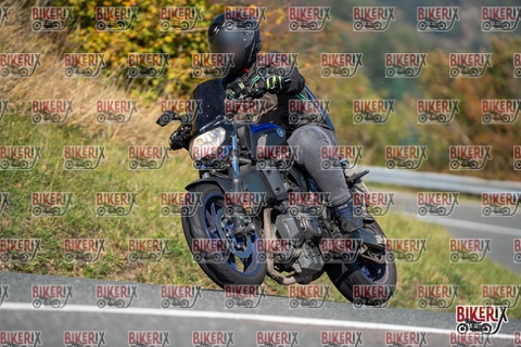 Passo della Futa E 11-10-25 h12-05 0632