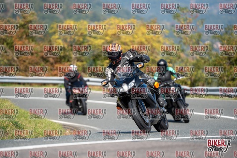 Passo della Futa E 11-10-25 h12-05 0646