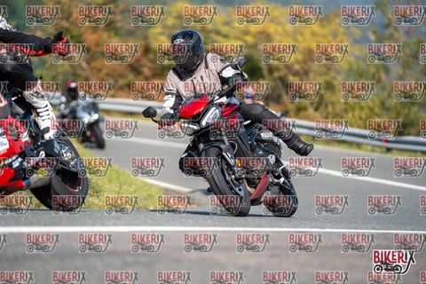 Passo della Futa E 11-10-25 h12-06 0684