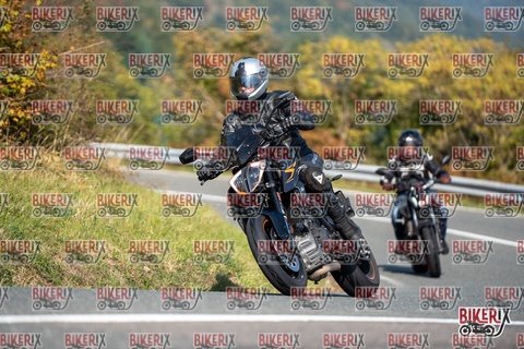 Passo della Futa E 11-10-25 h12-06 0691