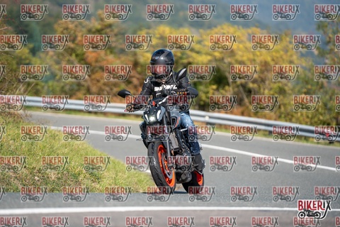 Passo della Futa E 11-10-25 h12-06 0693